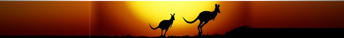 Kangaroo sunset