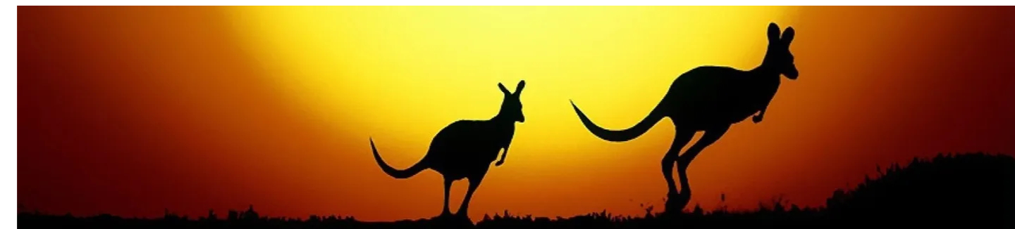 Kangaroo sunset Australia