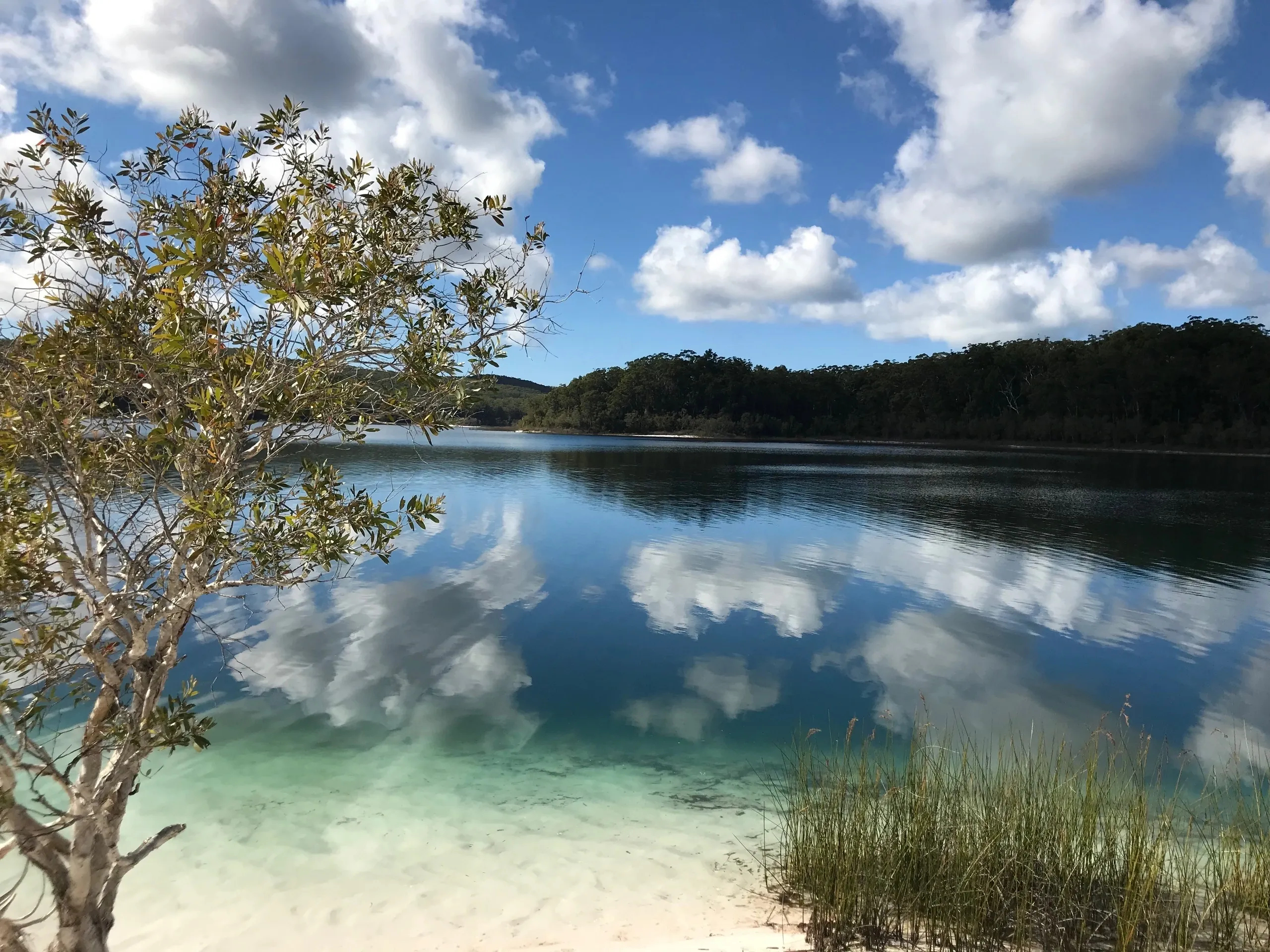 Lake Mackenzie, Fraser Island