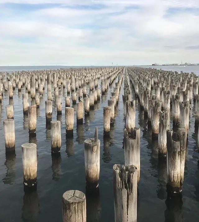Port Melbourne wooden pylons at Princes Pier